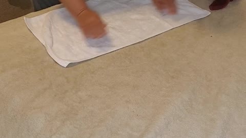 How to make 2 swans in a basket towel origami #Clapper #Rumble