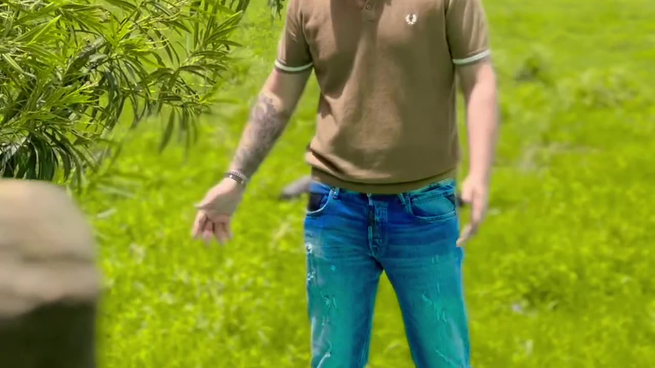 Beautiful song from india