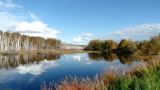 Beautiful Birch Forest Trail Trekking in Fairbanks, Alaska in September, 2021