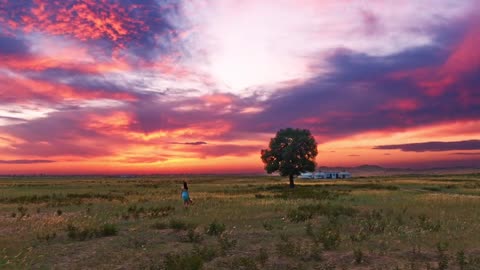 Take you to Inner Mongolia to see the stars