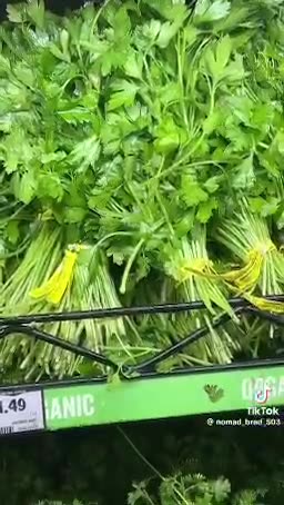 Educational Purposes Only..!