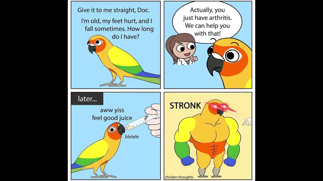 Funny Comics With A Parrot Twist