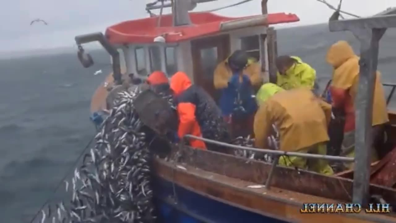 Amazon ing Fatfishing skills