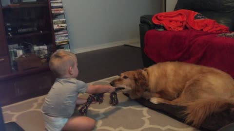 Jesse and Misty How gentle a golden is with a child.