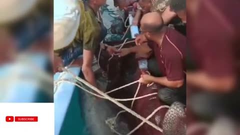 GRAPHIC: RUSSIAN MAN GETS EATEN BY TIGER SHARK IN EGYPT