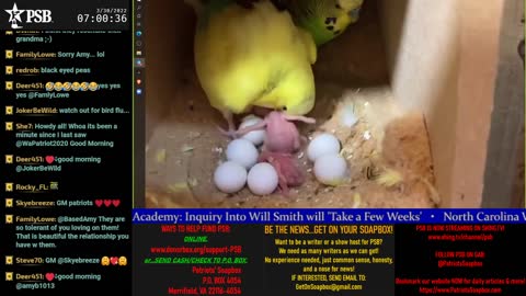 2022-03-30 07:00 EDT - Patriots Soapbox AM: with LadyRWB , MykelJaye & DD