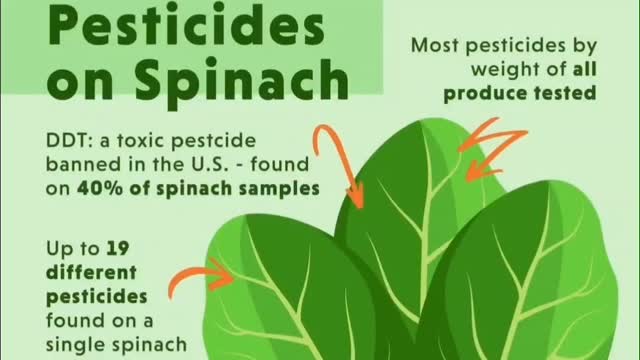 Pesticides and Spinach