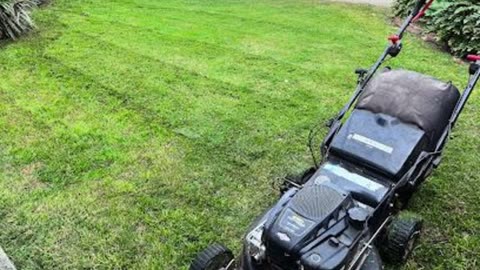 If you are looking for a Gardener in Sunnybank