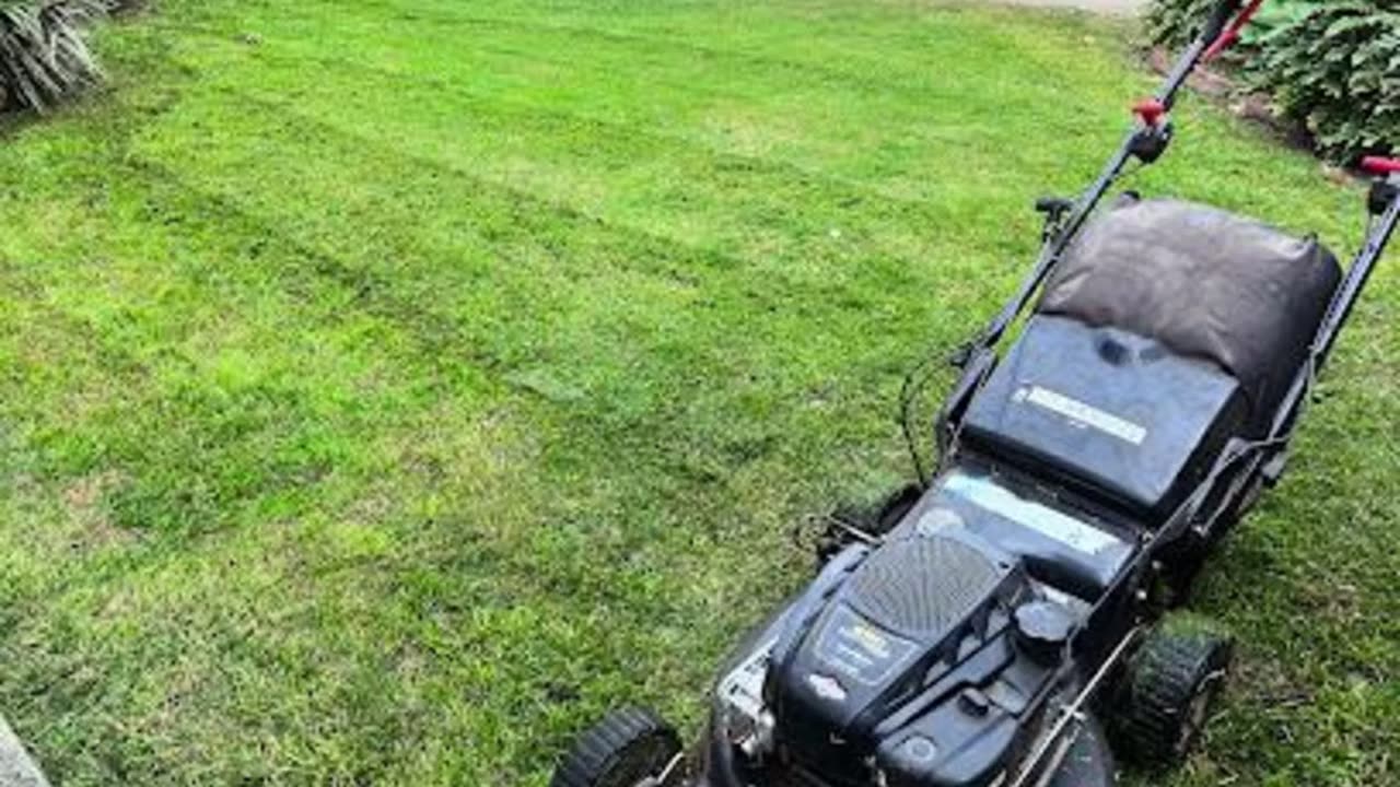 If you are looking for a Gardener in Sunnybank