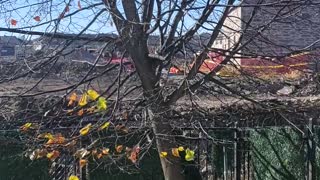 Taggart Construction crew harasses female