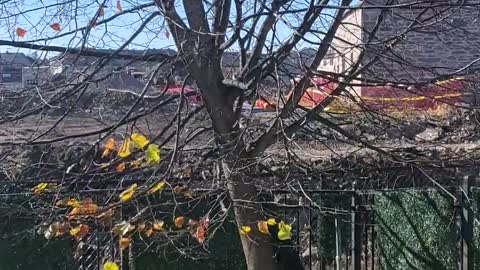 Taggart Construction crew harasses female