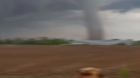 ⚠️Tornado near the village of Erkov in the Chernihiv region of Ukraine, April 16, 2024.