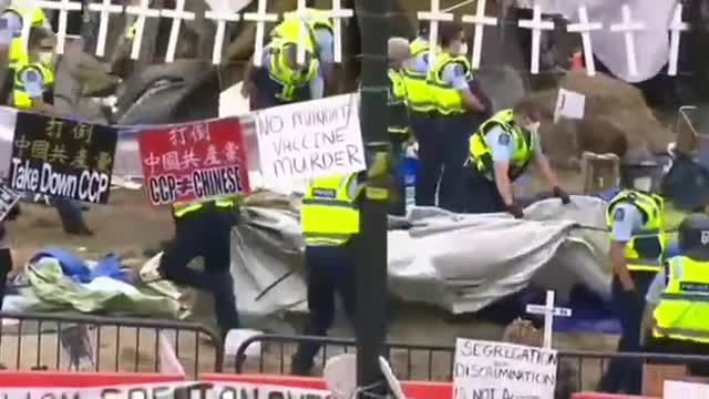 Jacinda Ardern's WEF nazi police destroy freedom camp in front of Parliament House