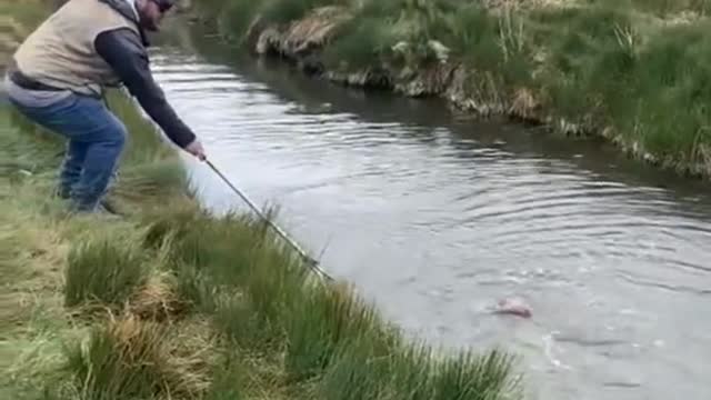 There are just certain audios that hit different. We've had so much fun over the years out fishing