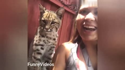 Funny Animals Videos | Funny Girl Video 2023 | Funny girl Fails | funny zoo Animals