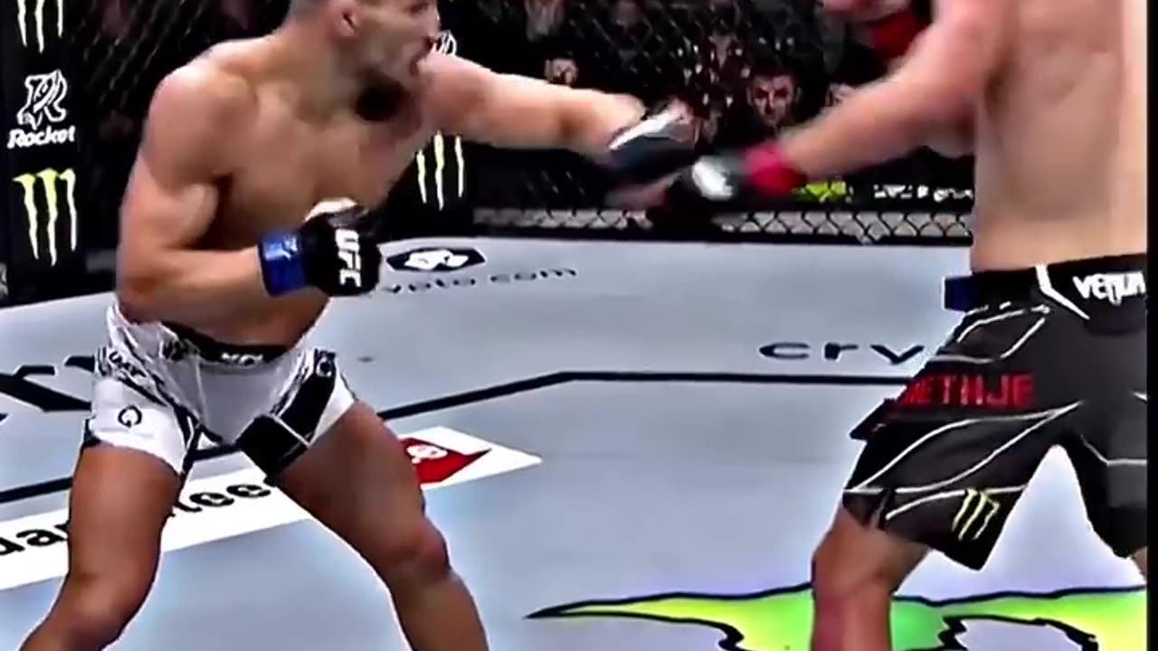 Ufc fight