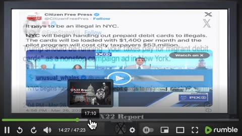 3/28/'24 X22 Skip Through | DJT Message to [DS] the LION 🦁