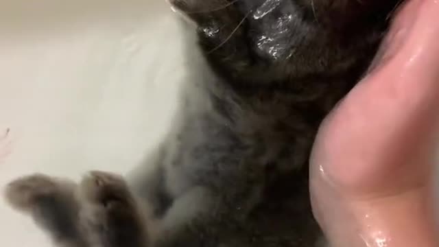 I know you aren’t supposed to get rabbits wet, but this was a special case.