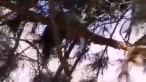 Footage of one of the clashes from the Ukrainian side
