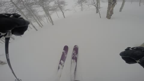 1/18/19 not sure what run this is but the powder was great