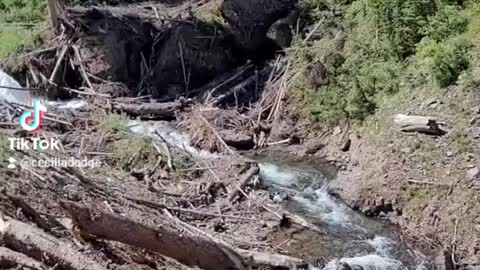 Jeep Colorado trip