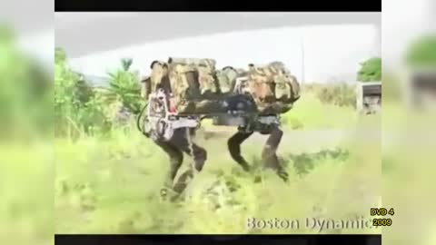MUSICAL: Zé Geraldo - Dando Milho aos Pombos