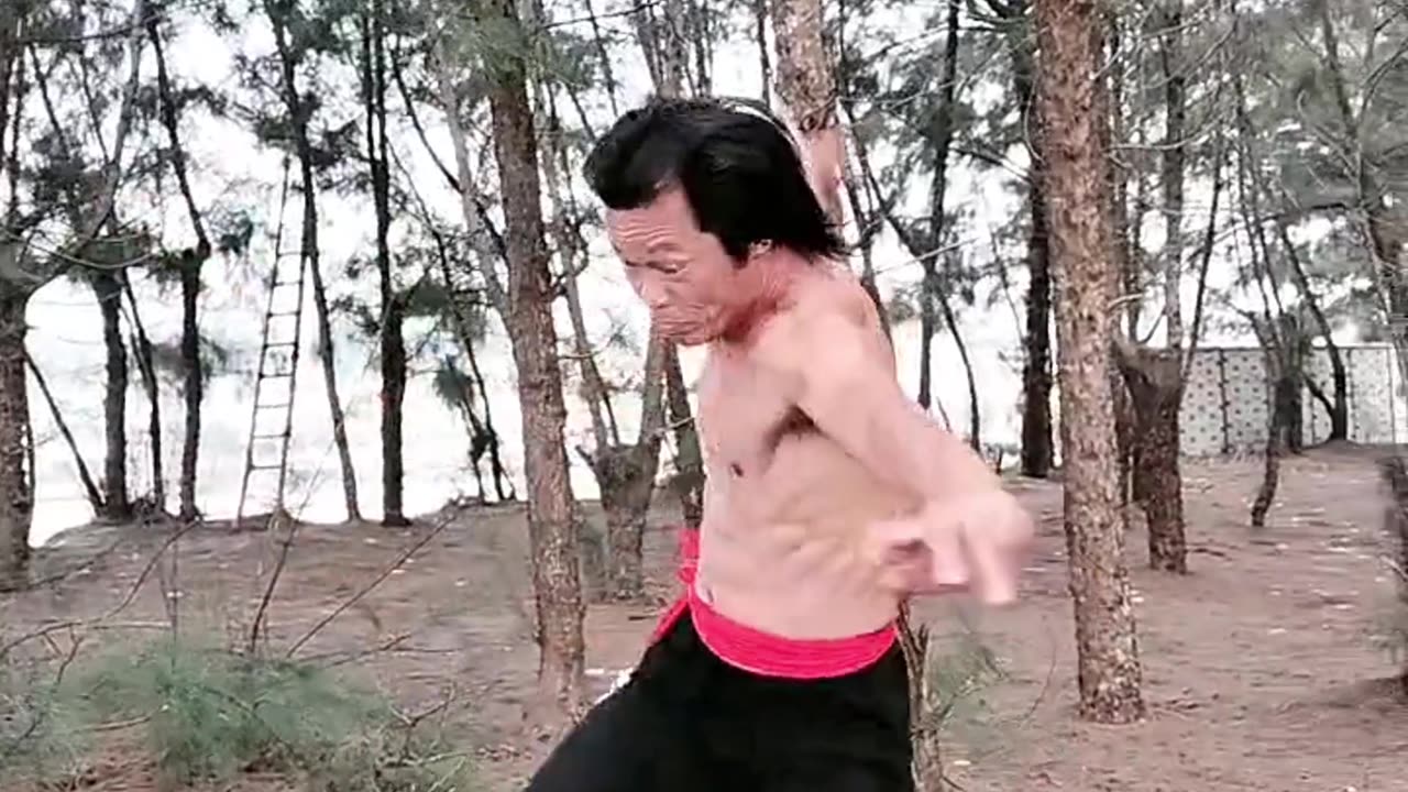 Feel the beauty of Chinese martial arts