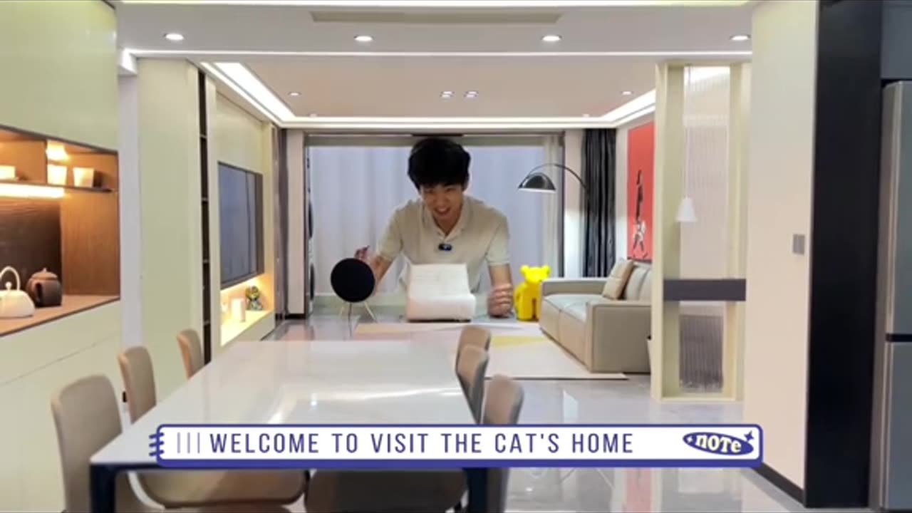 Welcome to visit the cat's home