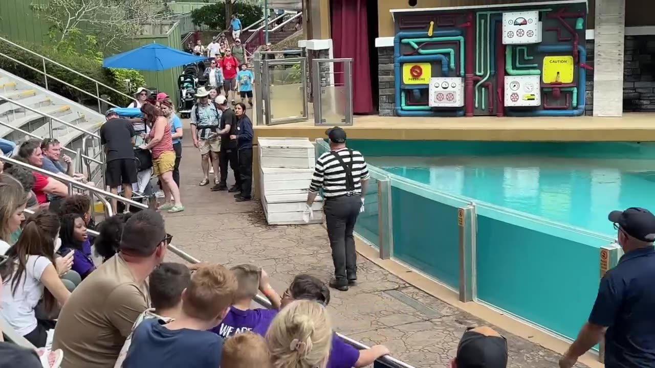 Tom The Famous Seaworld Mime | Tom the Mime