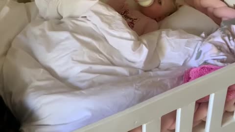 Pet Dogs Lays in Crib With Toddler