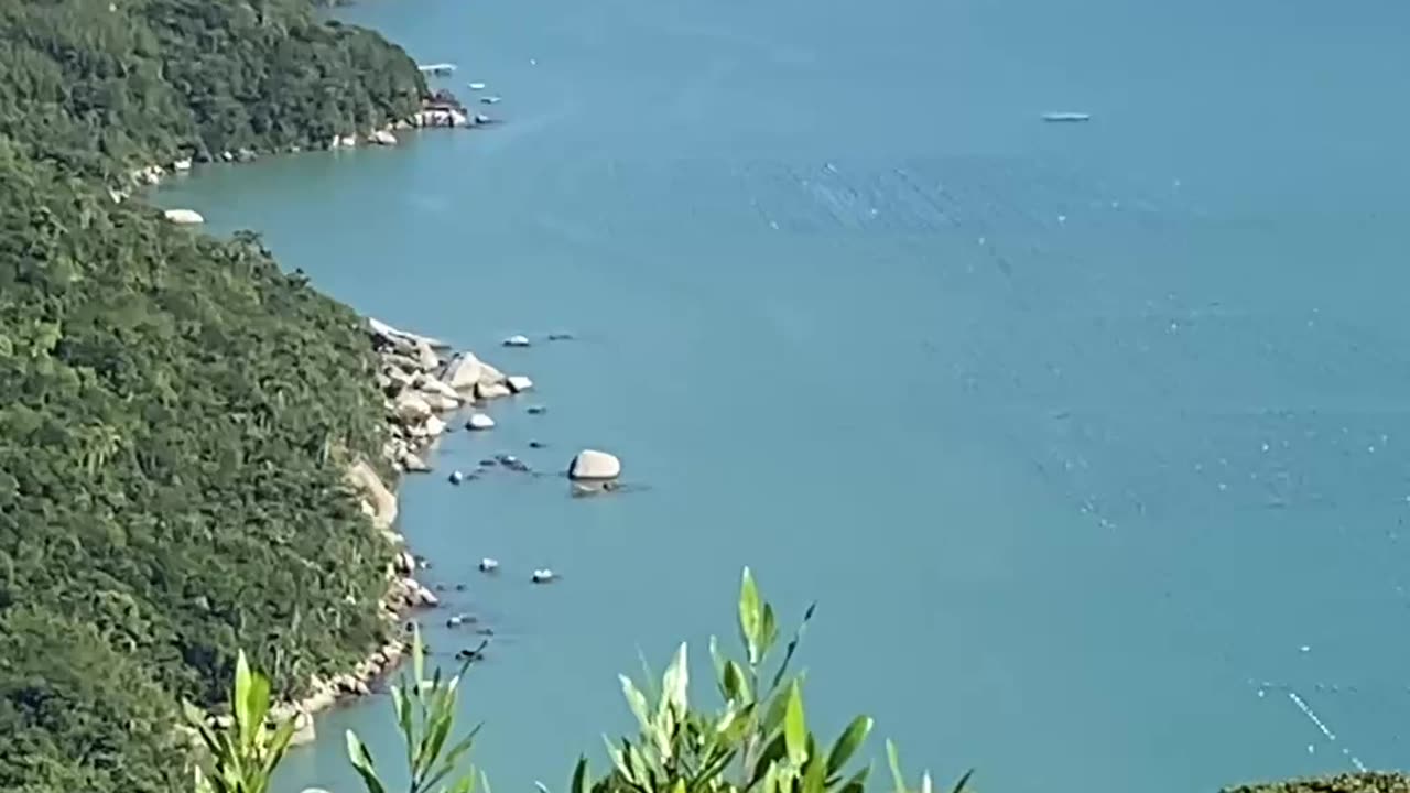 6/19 - Explorando a Trilha do Morro do Macaco em Bombinhas: Uma Experiência Imersiva! #bombinhas