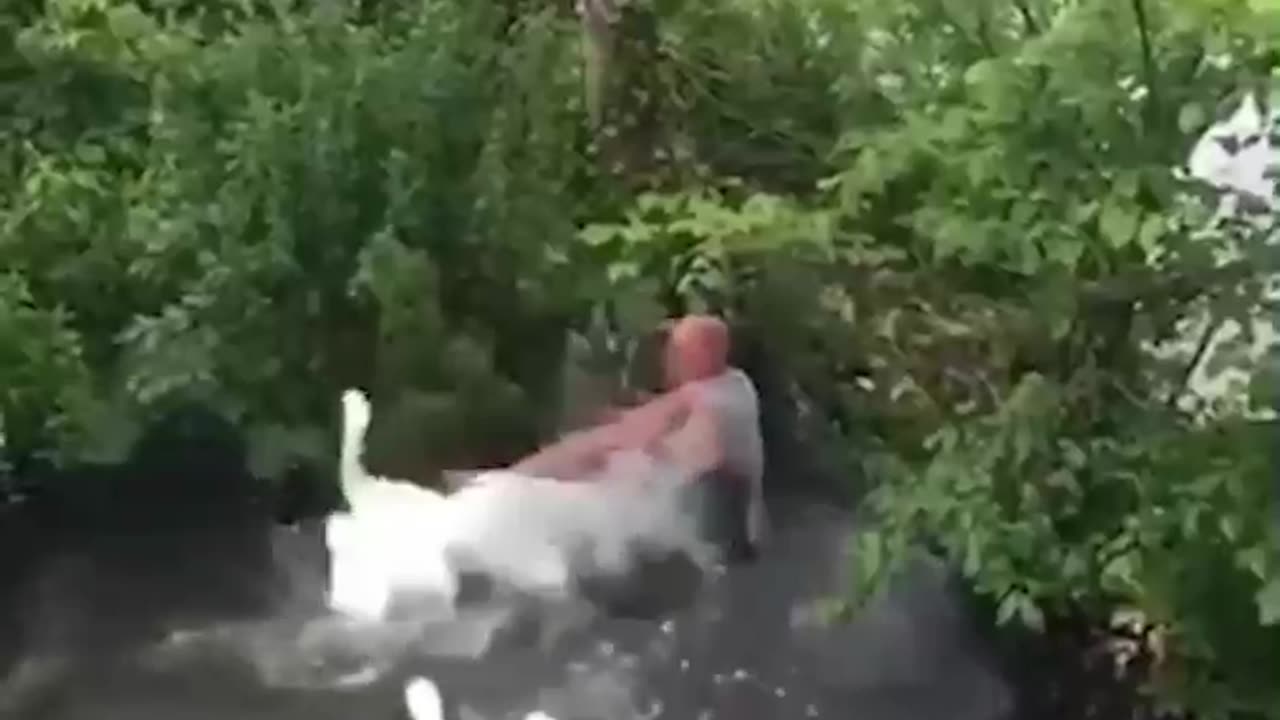 Adorable funny animals