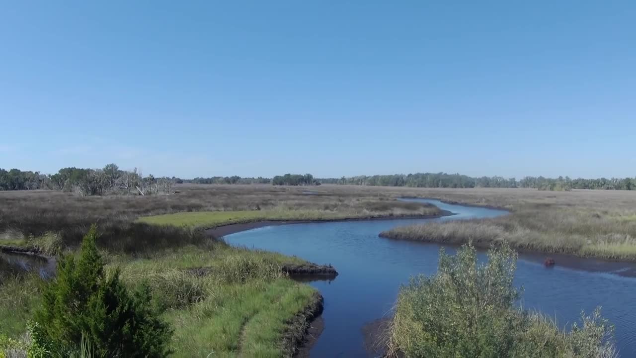 Strange Noises While Exploring Chassahowitzka Salt Marsh Trail