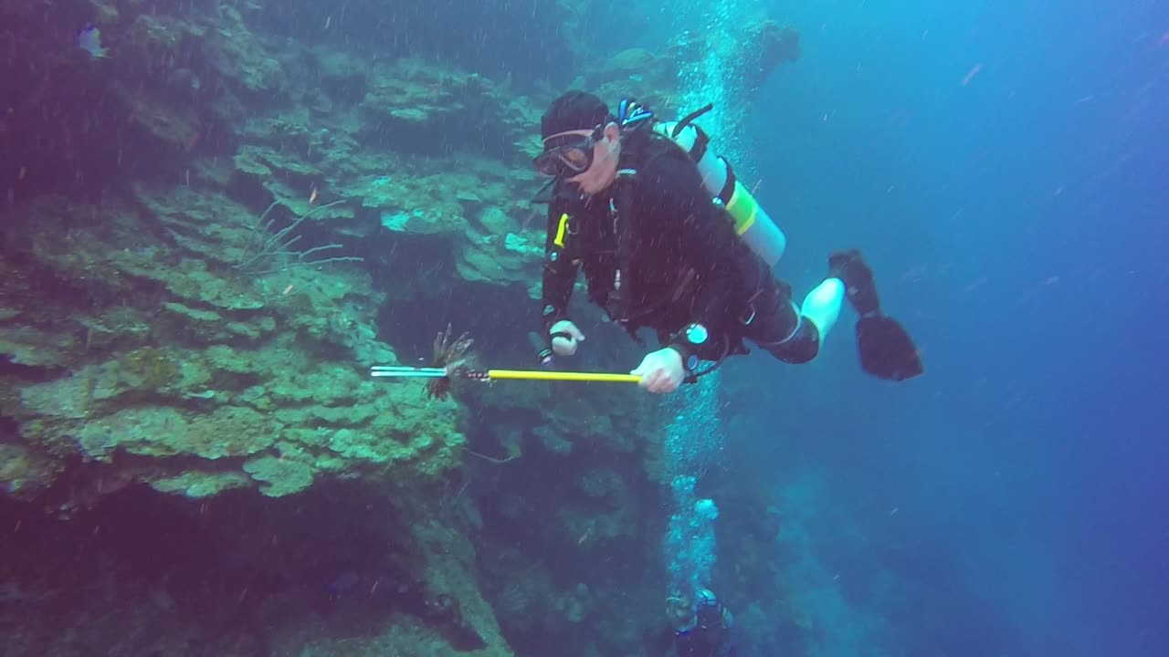 Myron vs the Lionfish