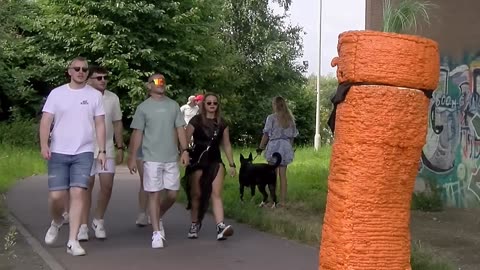 Is That a Carrot !. Angry Carrot Prank !!