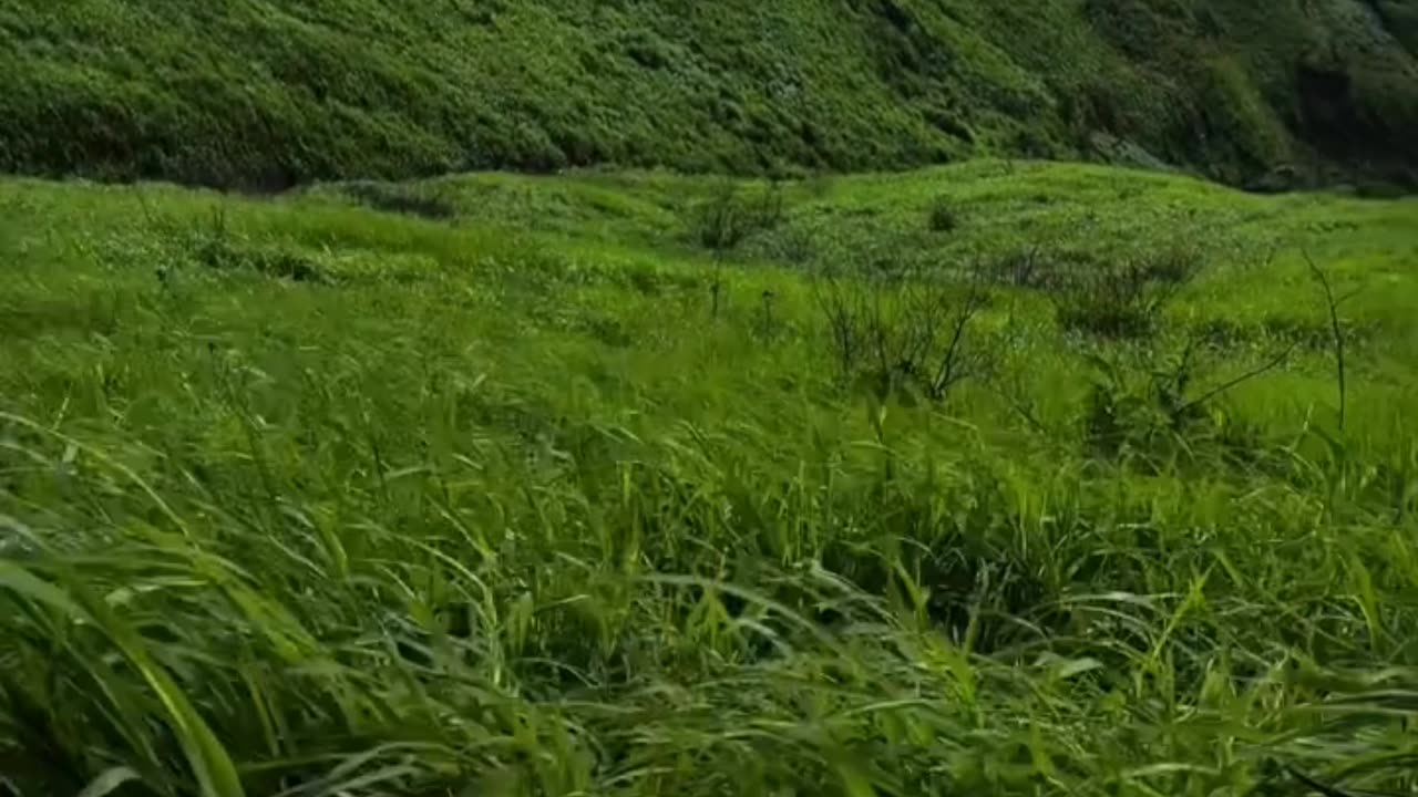 人群太吵了我想去听狂野的风 安静和孤独 踏实又自由