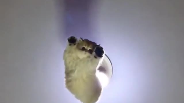 Oh no !!!!!!!!!!!!!!!!!!⚠️