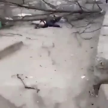 Warning Bodies Laid Out In Russia Ukraine Conflict