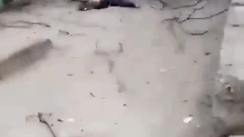 Warning Bodies Laid Out In Russia Ukraine Conflict