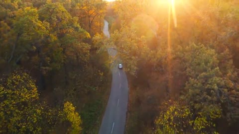 Enchanting Autumn Forests with Beautiful Piano Music