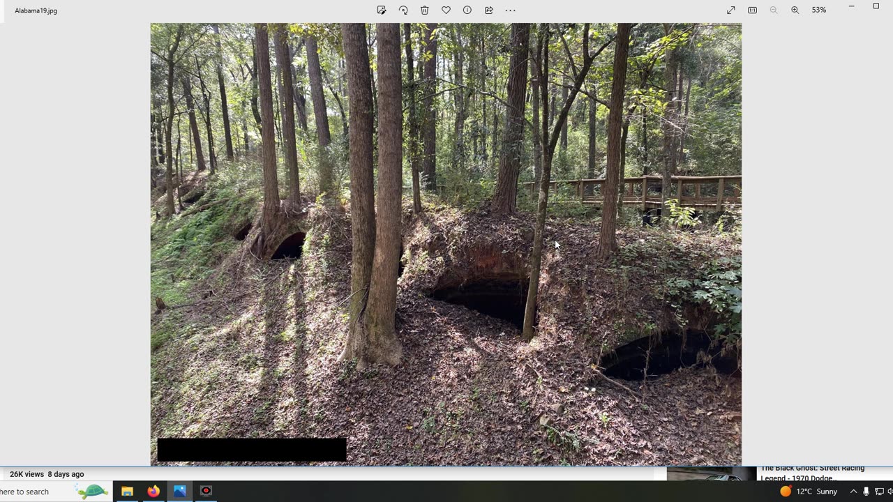 Old World Alabama and Spain