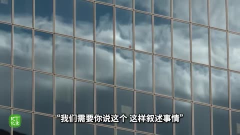 《顿巴斯：我在这里的原因》——外国记者对顿巴斯进行揭露性报道