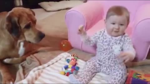 Funny Dog & Kids