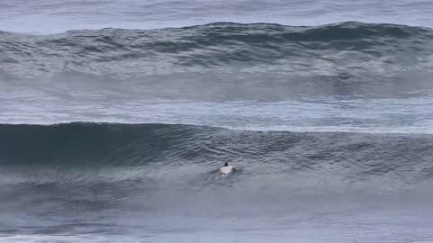 Crowd Pleasing Uluwatu