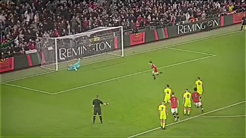 Ronaldo's fan
