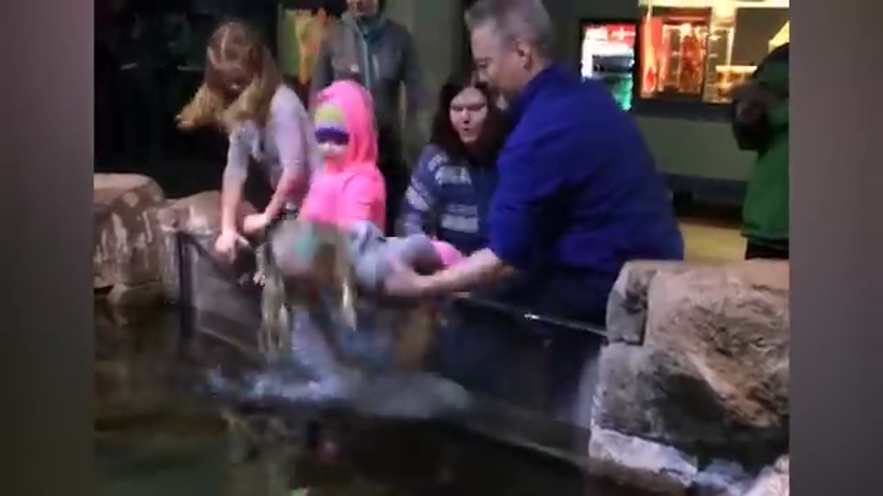 Funny Babies at Aquarium