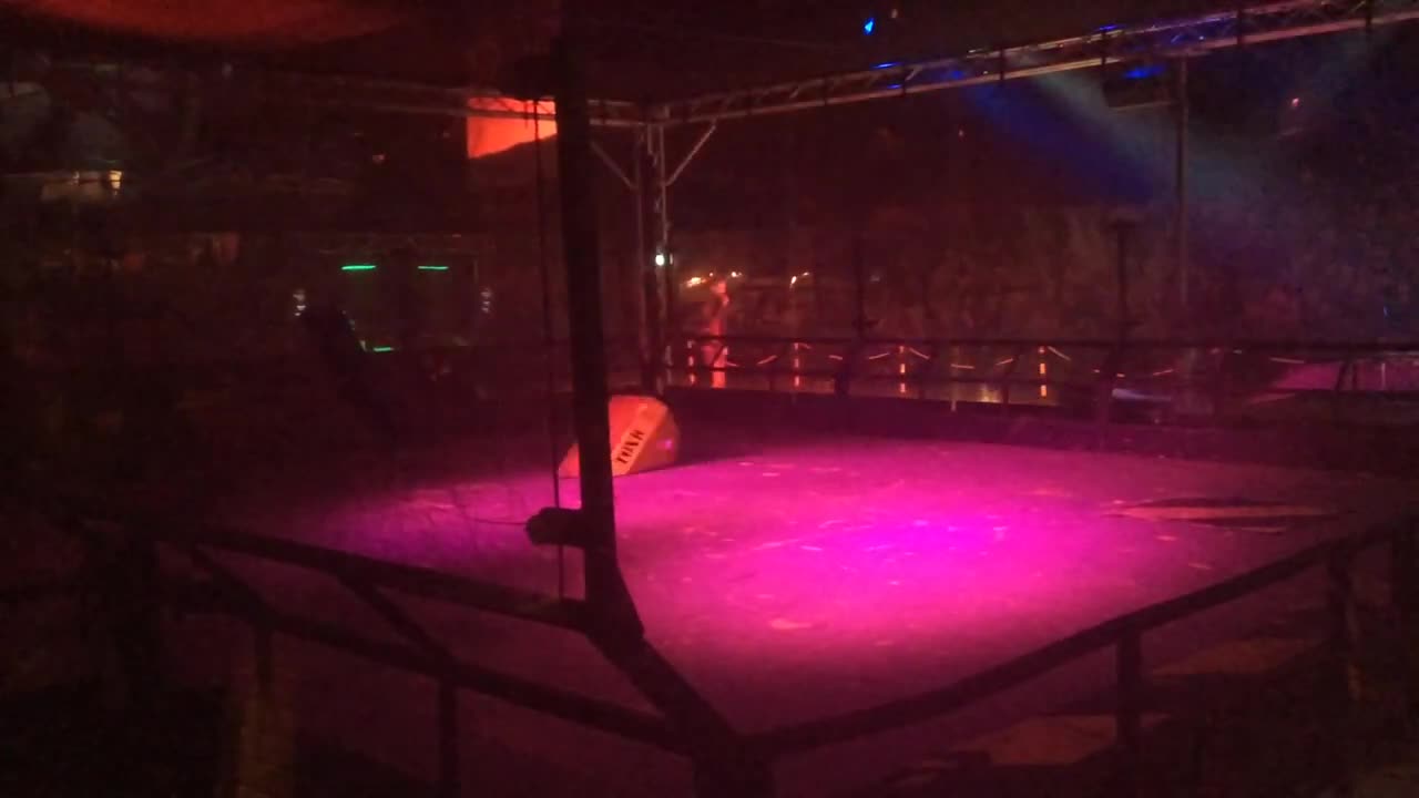Robots Live Stevenage 2019: Two Headed Death Flamingo Vs Toxic 2