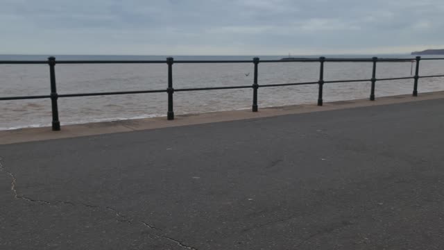 Black labrador eating ice-cream at the beach