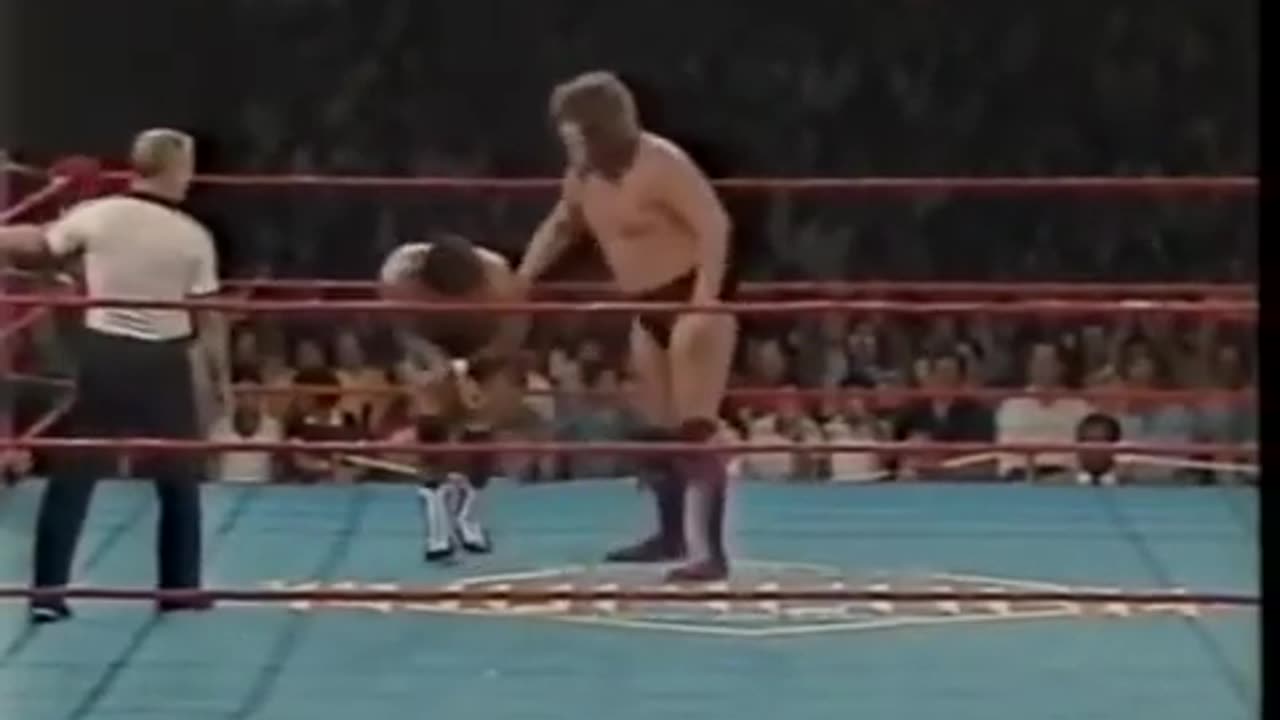 (1985.09.03) Rick Martel vs Terry Gordy - AWA