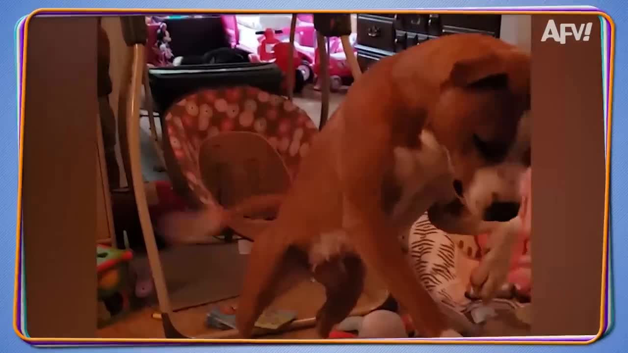 Can't you change your position, dog